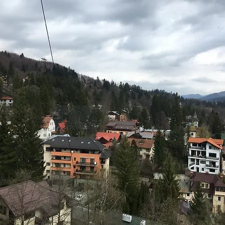 Apartment View Sinaia